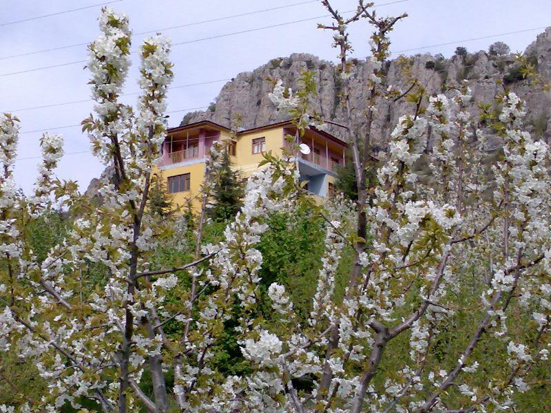 Aladag Dag Otel Bagian luar foto